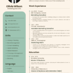 Marketing Executive CV Template