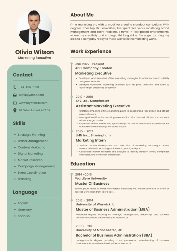 Marketing Executive CV Template