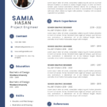 Editable Professional CV