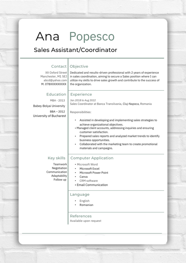 Sales Assistant CV Template